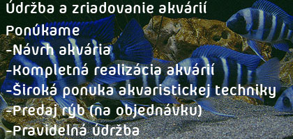 udrzba a zriadovanie akvarii